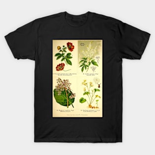 Vintage Flowers T-Shirt